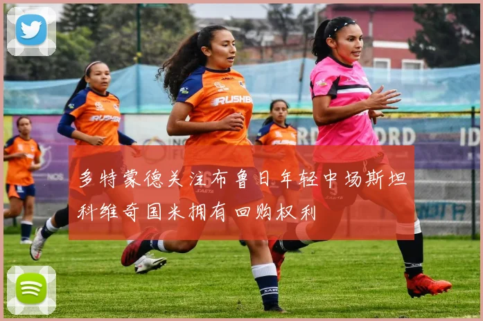 多特蒙德关注布鲁日年轻中场斯坦科维奇国米拥有回购权利