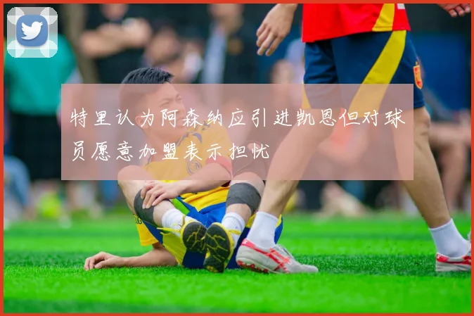 特里认为阿森纳应引进凯恩但对球员愿意加盟表示担忧