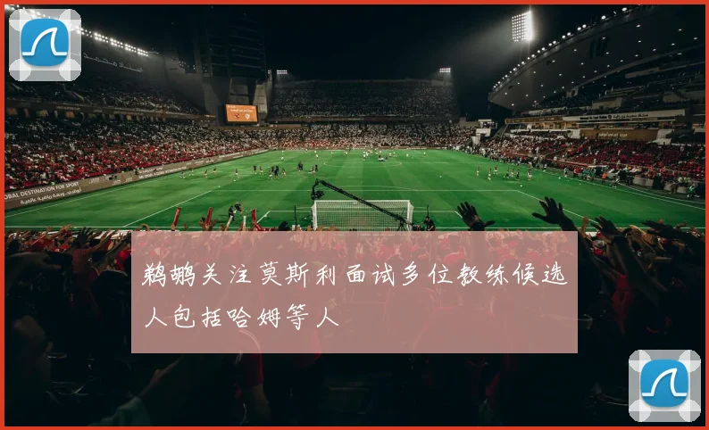 鹈鹕关注莫斯利面试多位教练候选人包括哈姆等人